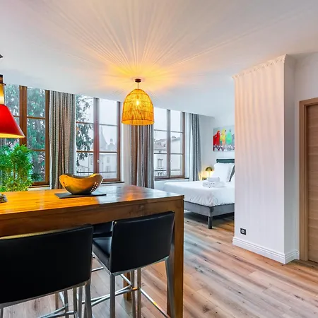 Le Relais Ducal - D'hotes Vieille Appartement Nancy